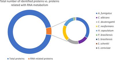 The characterization of RNA-binding proteins and RNA metabolism-related proteins in fungal extracellular vesicles